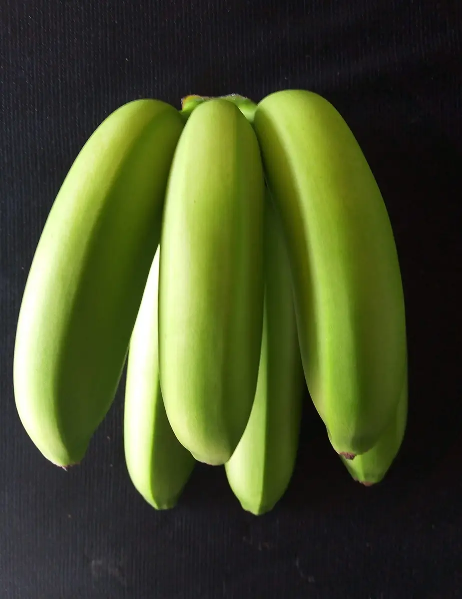 Ingeplant Colombia 18